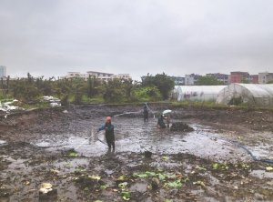 丹东河道鱼塘清淤